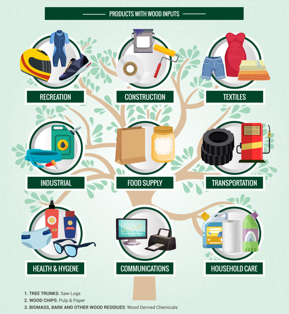 products with wood inputs infographic