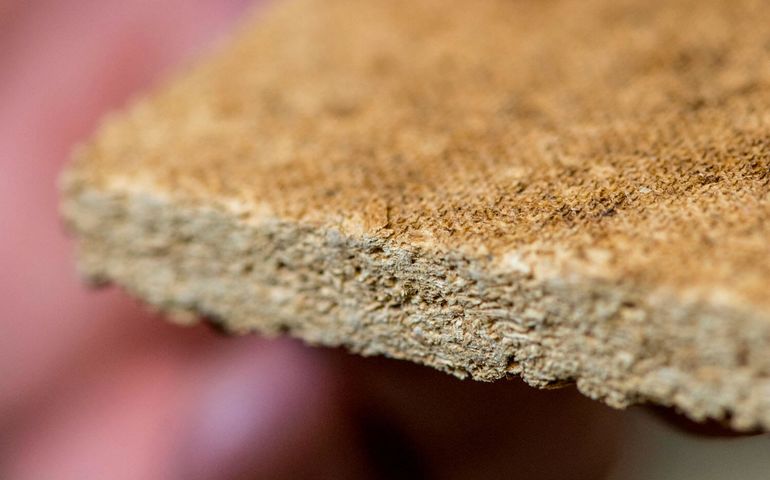 photo of particle board created using an environmentally friendly binding agent