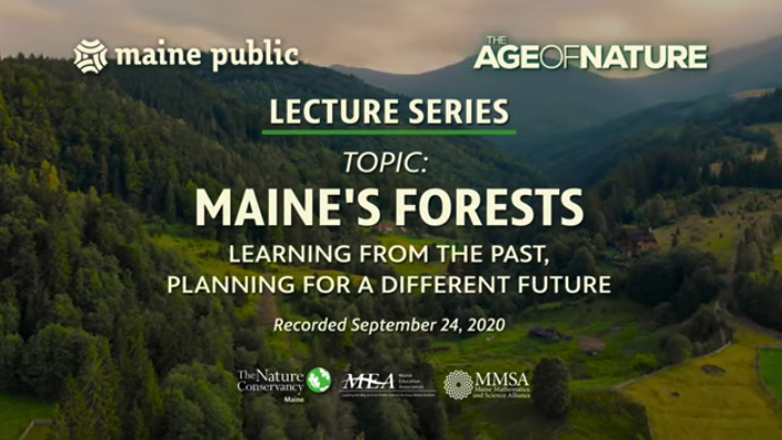 Thumbnail from video title screen on Maine's Forests